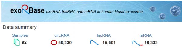 1512026125917979.jpeg 20171025091619146_s.png