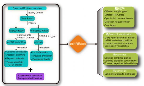 1512026165298350.jpeg 20171025091649462_s.png