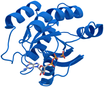 1512026420830274.png 20170928213342778.png