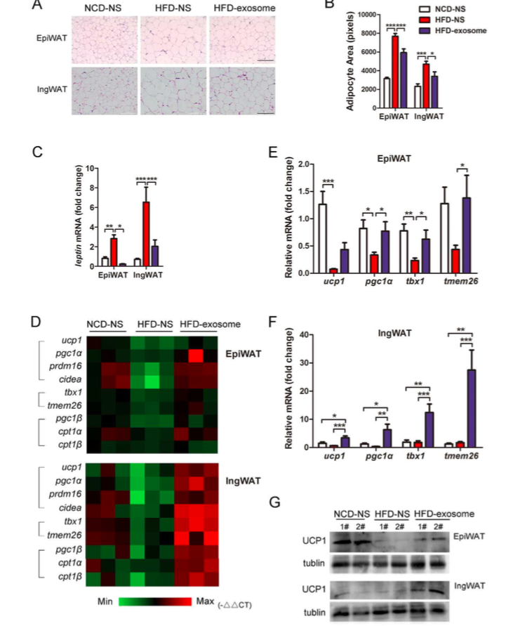 1512026797464057.png 20171120-205356.png