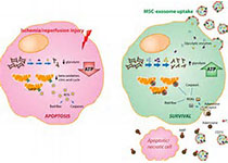 1512469991630633.jpeg 下载.jpg
