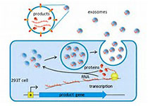 1512536546360098.jpeg th (2).jpg